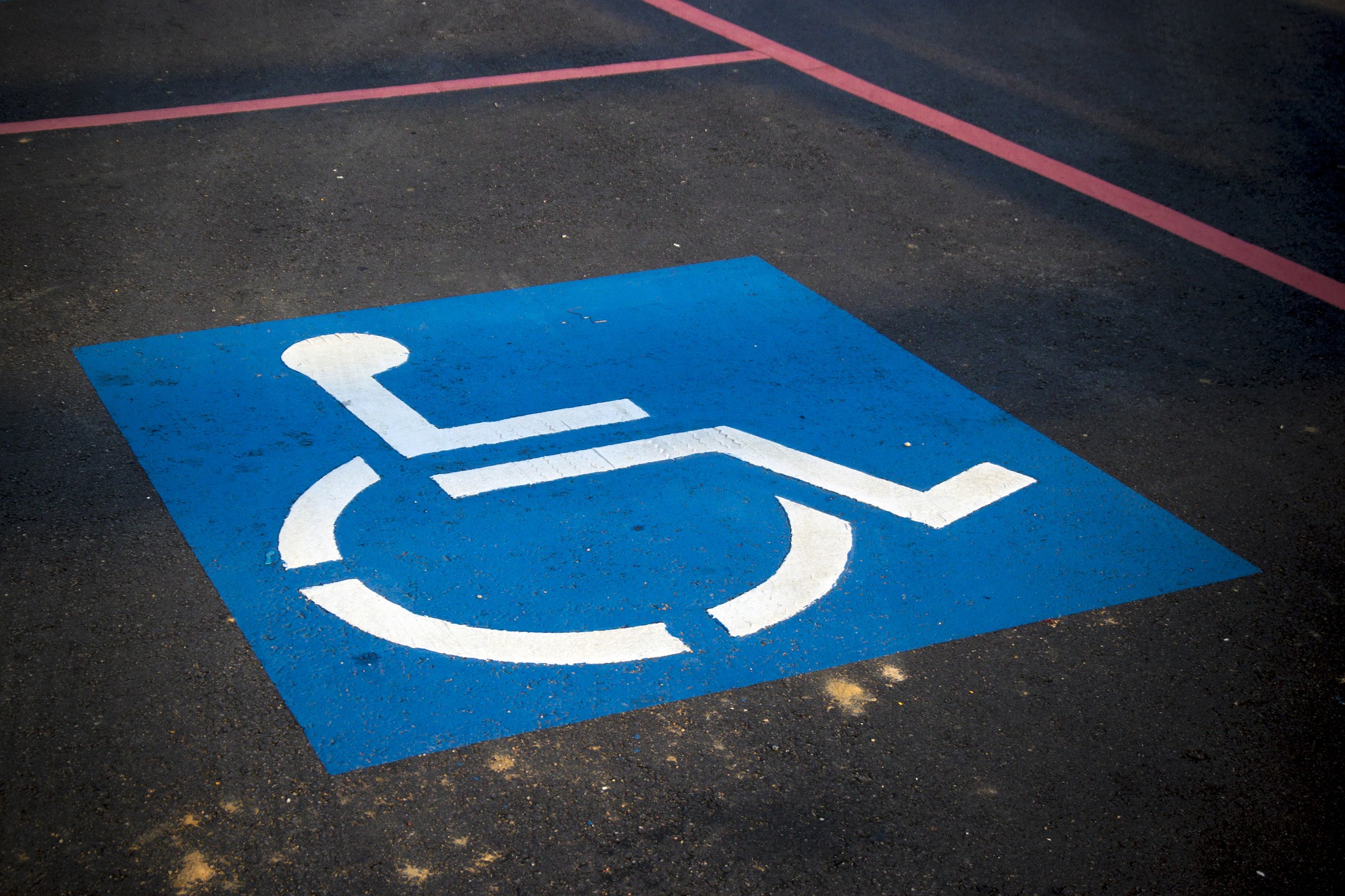 殘疾人士福利 / 支援一覽表